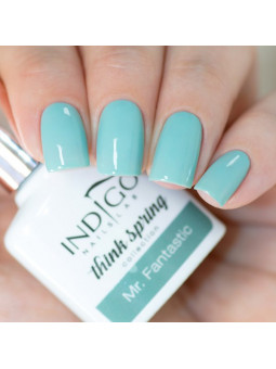 Mr. Fantastic Gel Polish