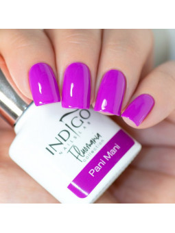 Pani Mani Gel Polish